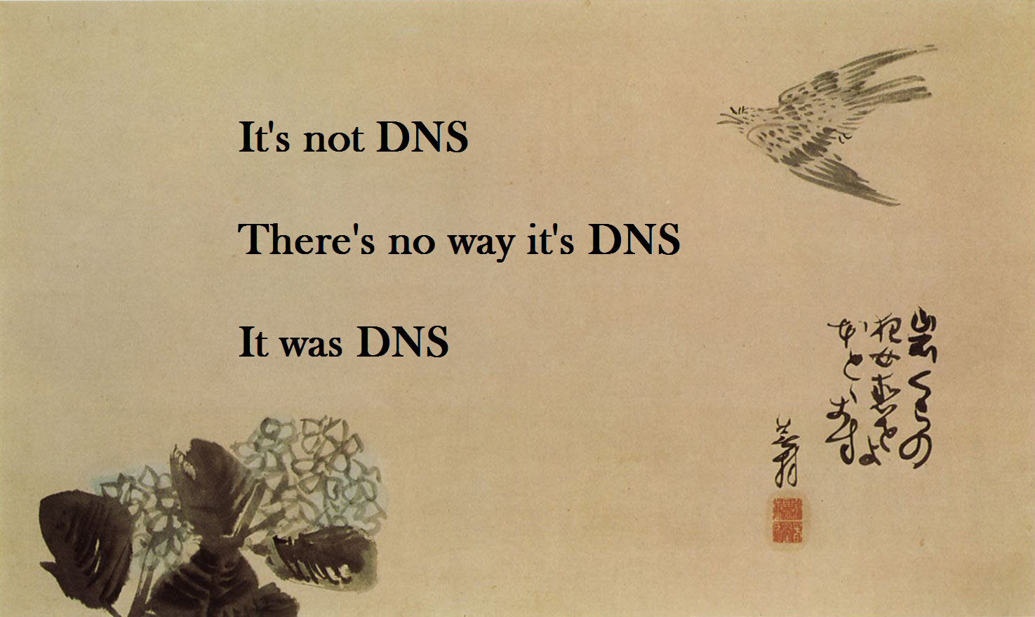 it is always dns