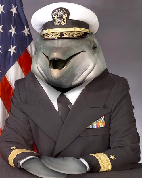 A dolphin dressed as an admiral
